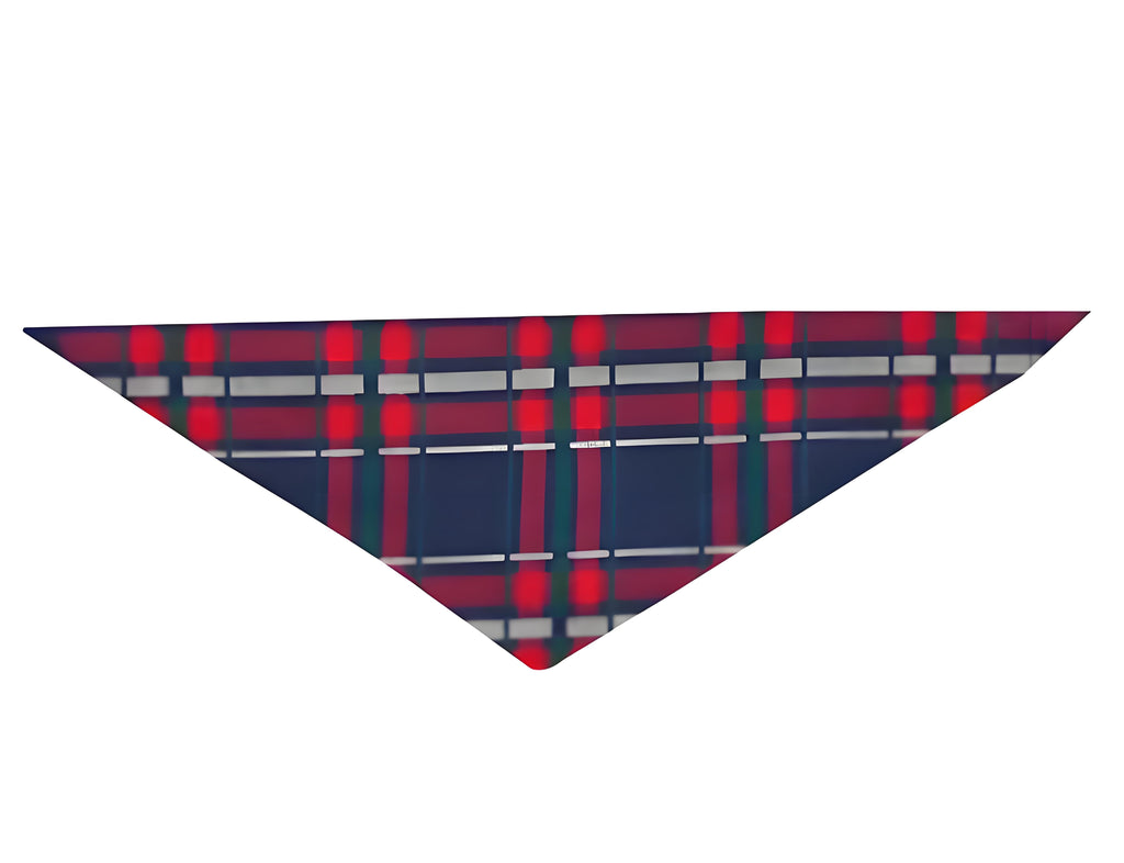 We Are Family 2026 Christmas Pajamas Set - Navy Top Red and Navy Plaid Pants White Text Graphic