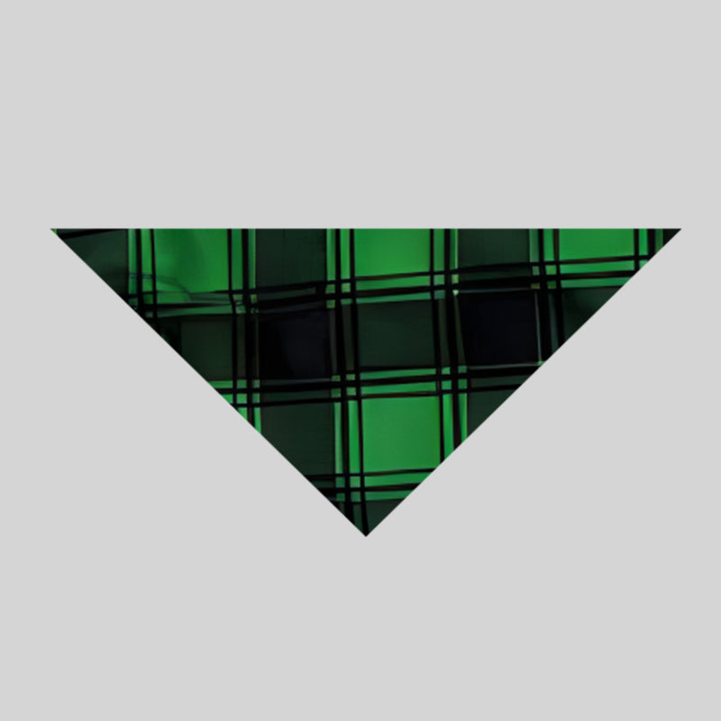 "2024 Family Christmas" and Deer Printed Green and Black Plaid Christmas Family Pajamas