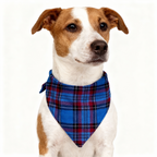 Holiday Family Blue Plaid Christmas Pajamas Set