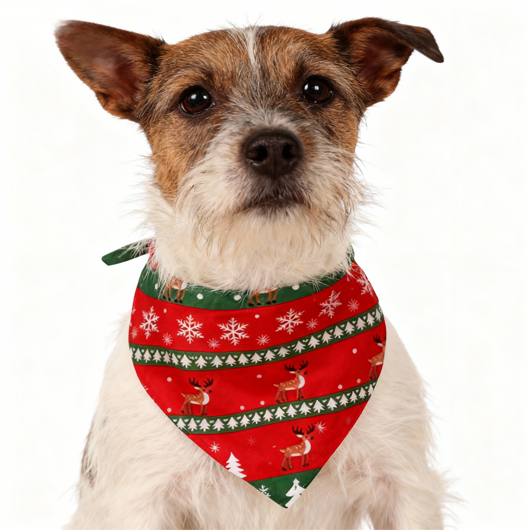 Holiday Family Button-down Christmas Pajamas Set