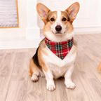 Best Christmas Gift for Families – Cute Button-Neck & Red Plaid Pants