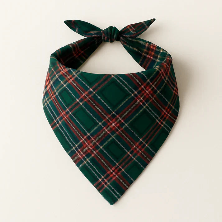 Best Christmas Gift for Families – Cute Button-Neck & Green Plaid Pants